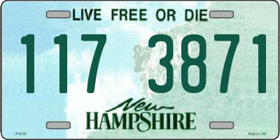 NH license plate 1173871
