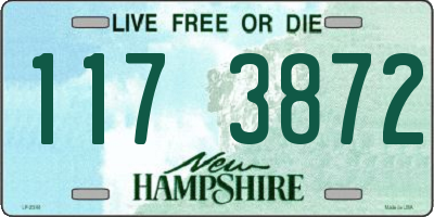 NH license plate 1173872