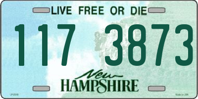 NH license plate 1173873