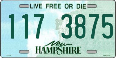 NH license plate 1173875
