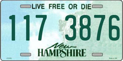 NH license plate 1173876
