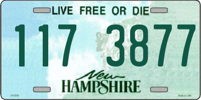 NH license plate 1173877