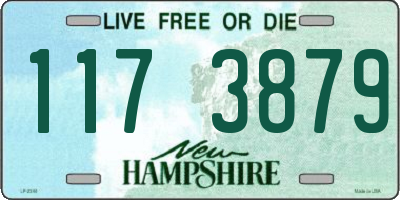 NH license plate 1173879
