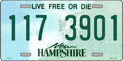 NH license plate 1173901
