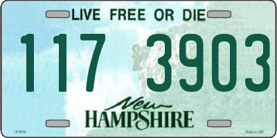 NH license plate 1173903