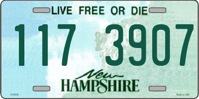 NH license plate 1173907