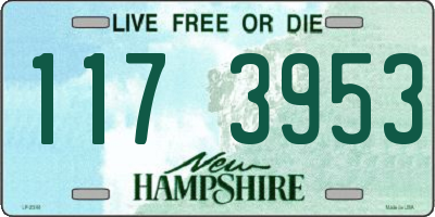 NH license plate 1173953