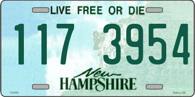 NH license plate 1173954