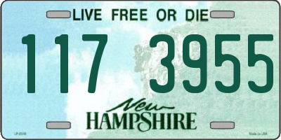 NH license plate 1173955