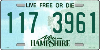 NH license plate 1173961