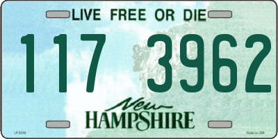 NH license plate 1173962