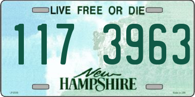 NH license plate 1173963