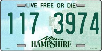 NH license plate 1173974