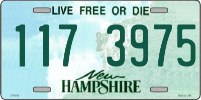 NH license plate 1173975