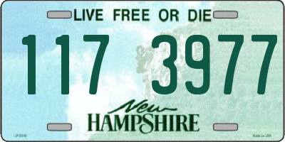 NH license plate 1173977