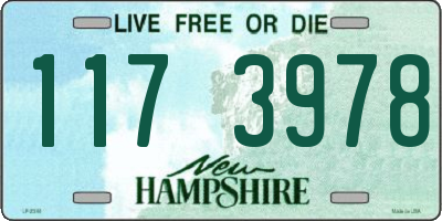 NH license plate 1173978