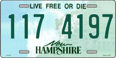 NH license plate 1174197