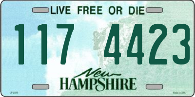 NH license plate 1174423