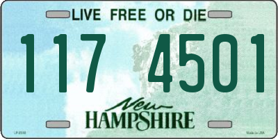 NH license plate 1174501