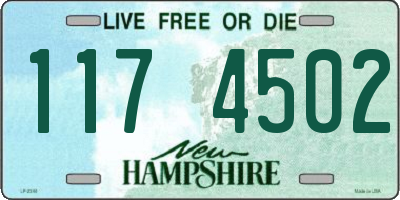 NH license plate 1174502