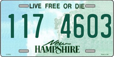 NH license plate 1174603