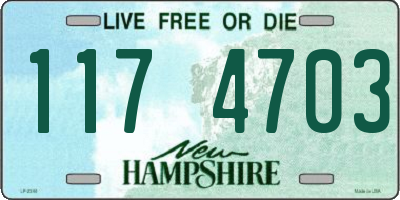 NH license plate 1174703