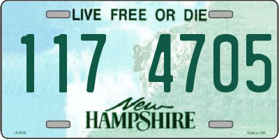 NH license plate 1174705