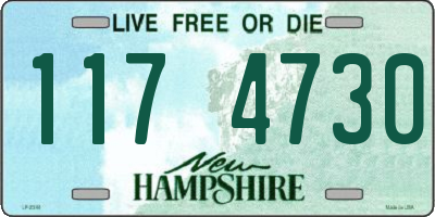 NH license plate 1174730