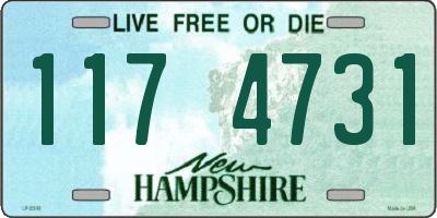 NH license plate 1174731