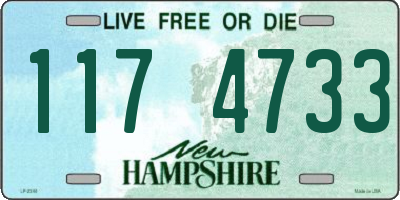 NH license plate 1174733