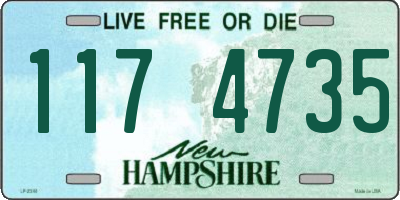 NH license plate 1174735