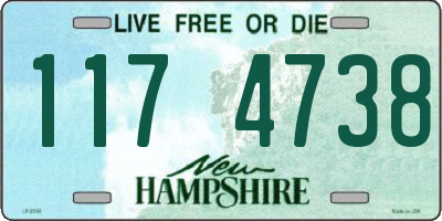NH license plate 1174738