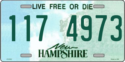NH license plate 1174973