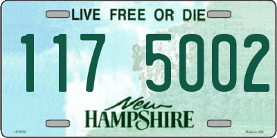 NH license plate 1175002