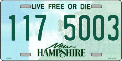 NH license plate 1175003