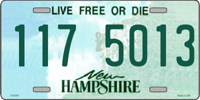 NH license plate 1175013