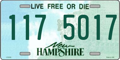 NH license plate 1175017