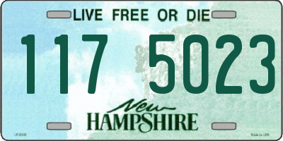 NH license plate 1175023