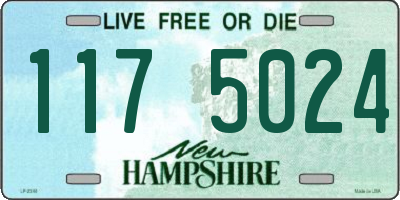 NH license plate 1175024