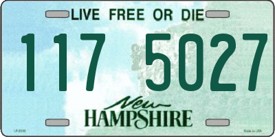 NH license plate 1175027