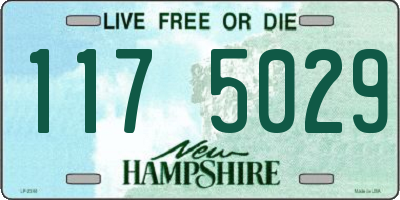 NH license plate 1175029