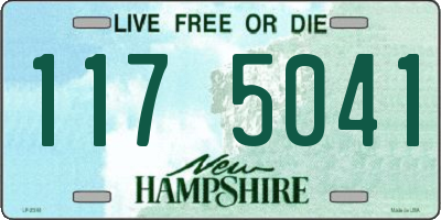 NH license plate 1175041