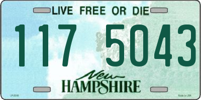 NH license plate 1175043