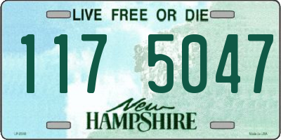 NH license plate 1175047