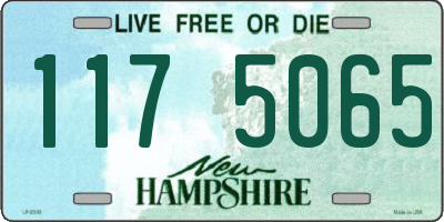 NH license plate 1175065