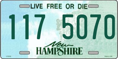 NH license plate 1175070