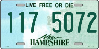 NH license plate 1175072