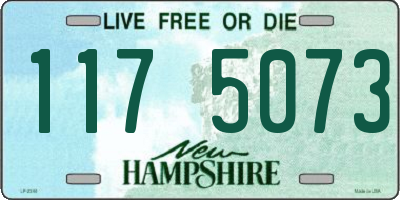 NH license plate 1175073