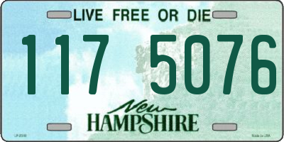 NH license plate 1175076