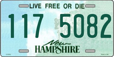 NH license plate 1175082